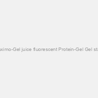 Maximo-Gel juice fluorescent Protein-Gel Gel stain